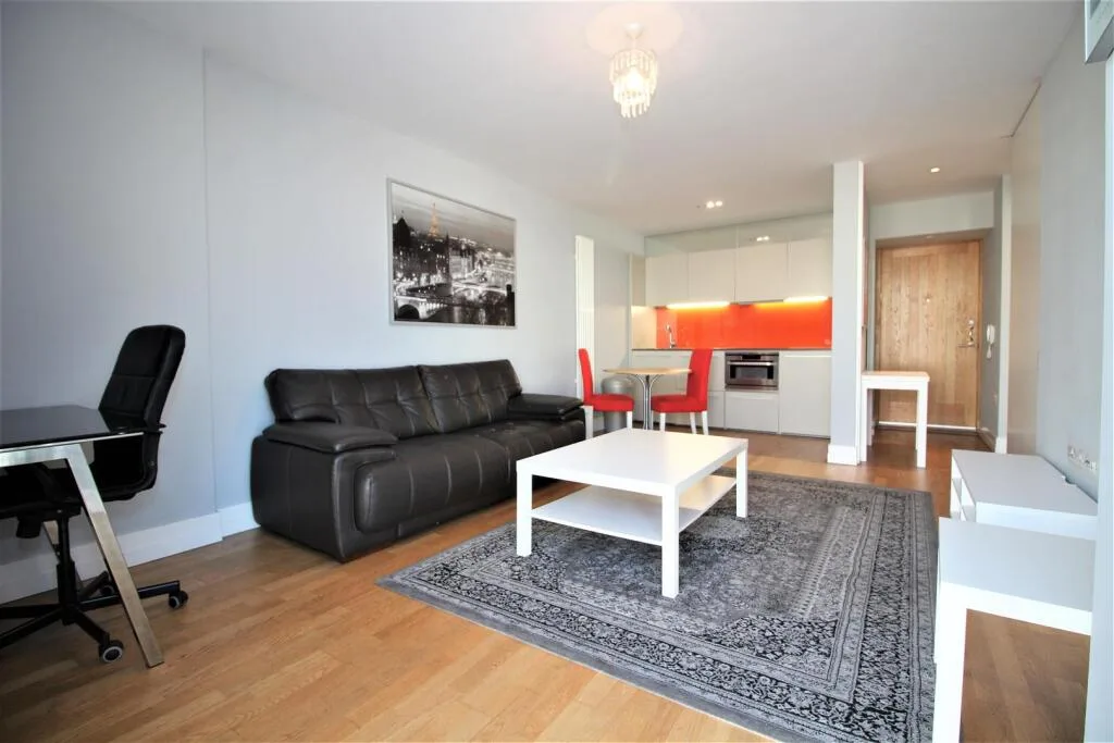 1 bedroom apartment for rent