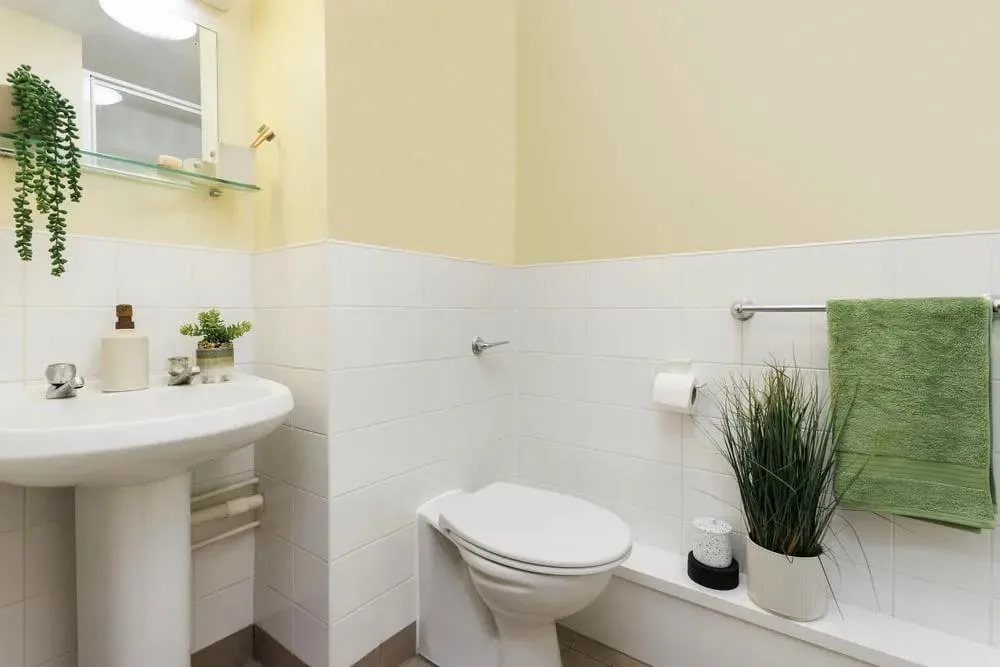 1 bedroom flat share for rent