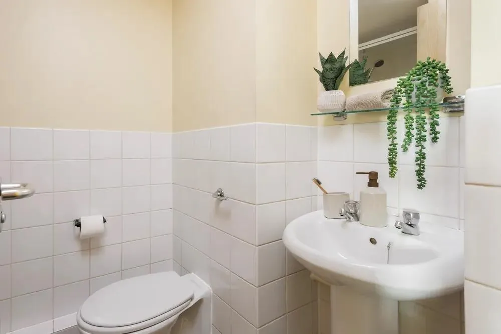 1 bedroom flat share for rent