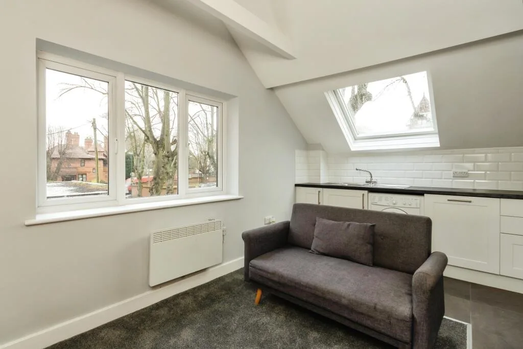 1 bedroom apartment for rent