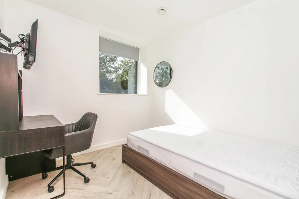 6 bedroom apartment for rent