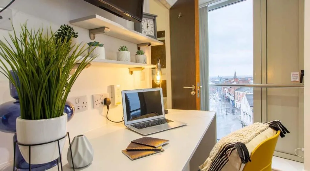 1 bedroom flat share for rent