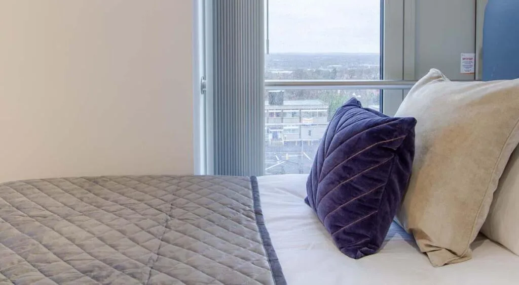 1 bedroom flat share for rent
