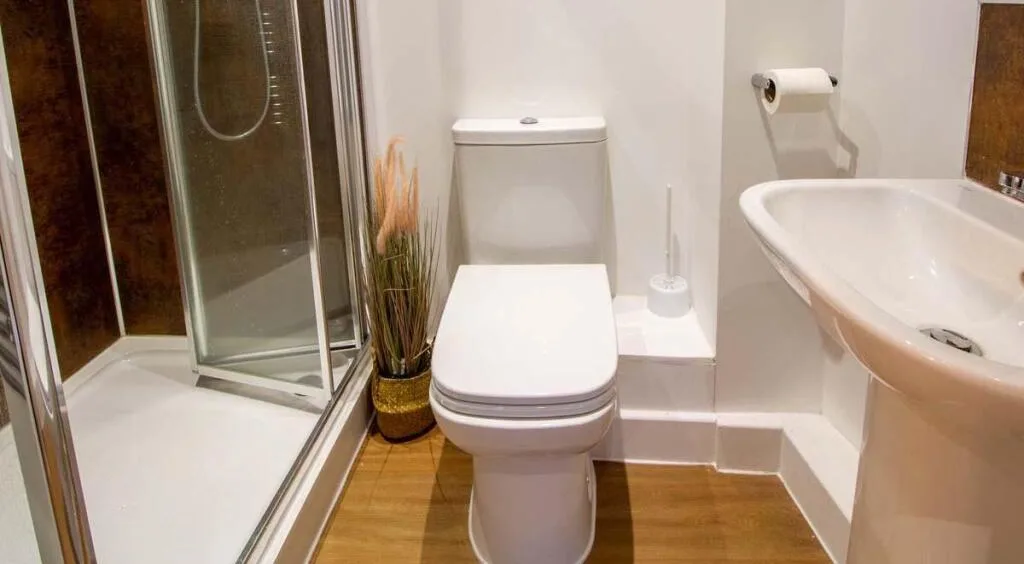 1 bedroom flat share for rent