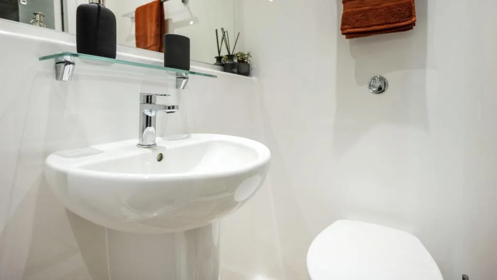 1 bedroom flat share for rent