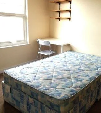 3 bedroom house for rent