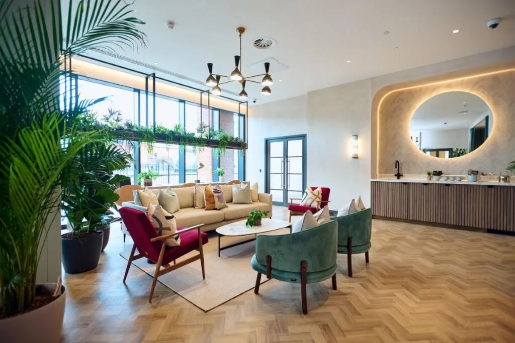 1 bedroom apartment for rent