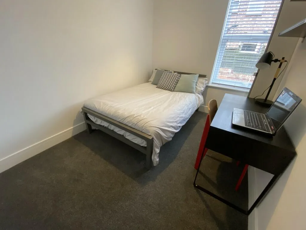 3 bedroom apartment for rent