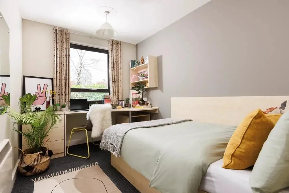 1 bedroom flat share for rent