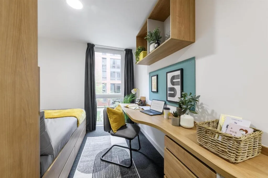 1 bedroom flat share for rent