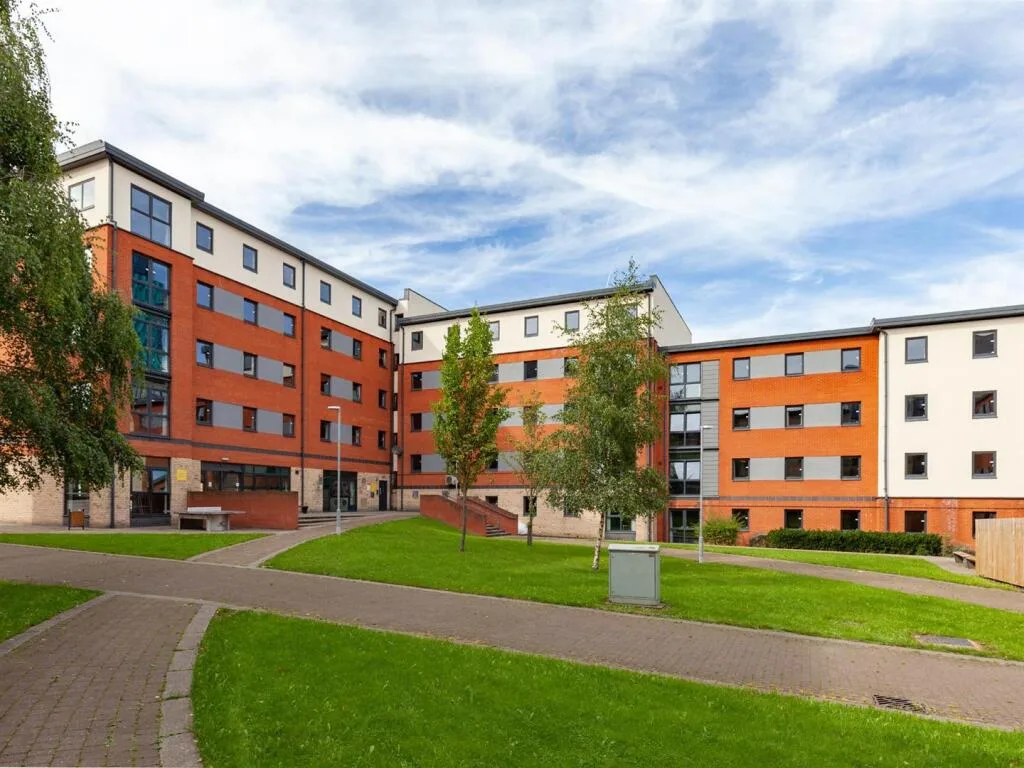 1 bedroom flat share for rent