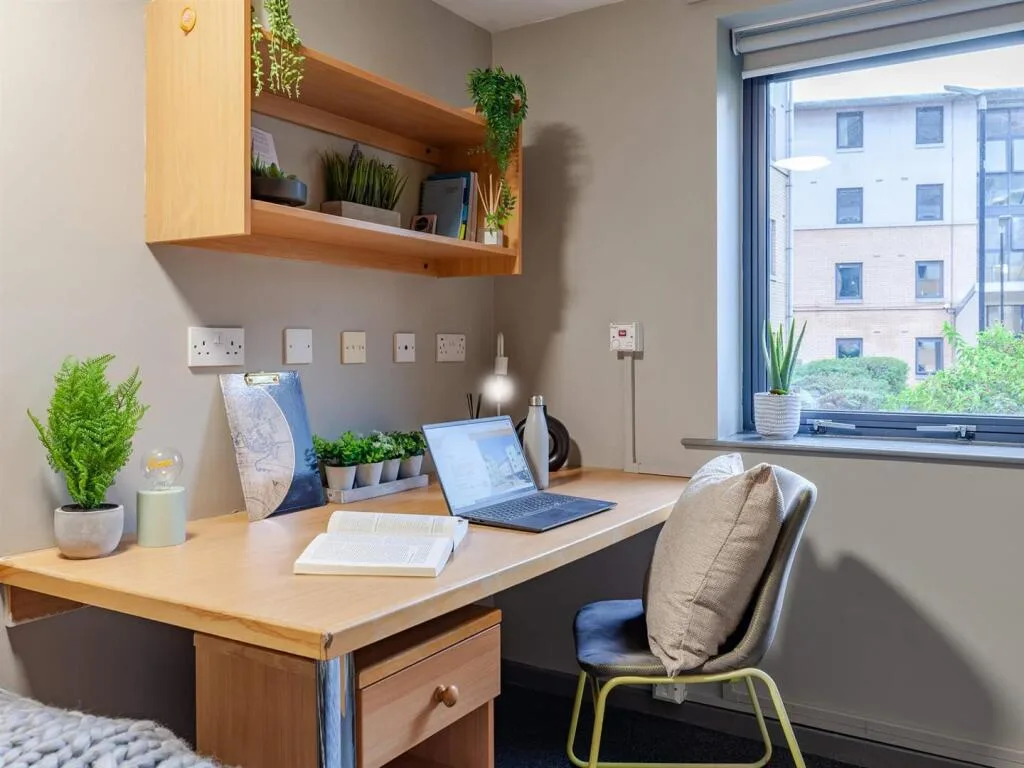 1 bedroom flat share for rent