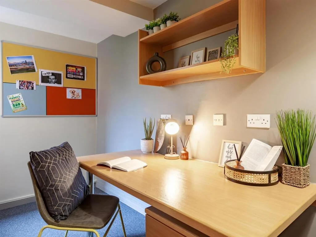 1 bedroom flat share for rent
