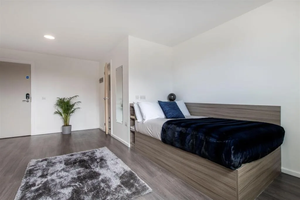 1 bedroom flat share for rent