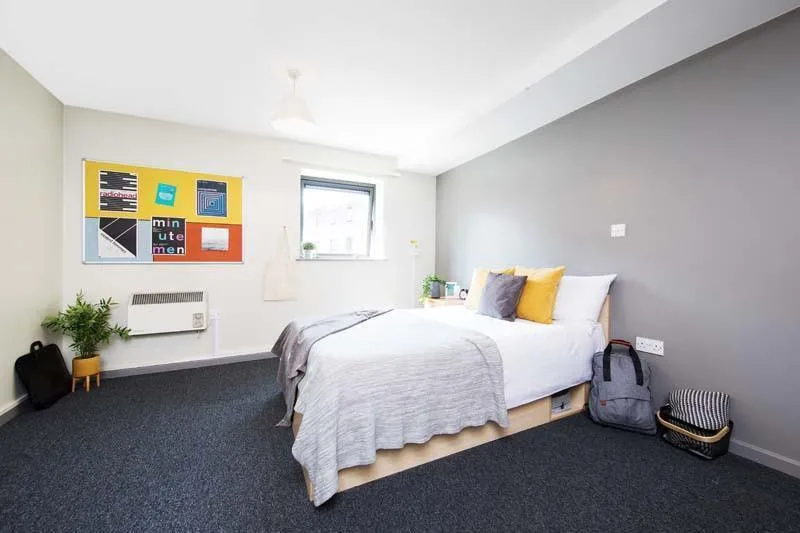 1 bedroom flat share for rent