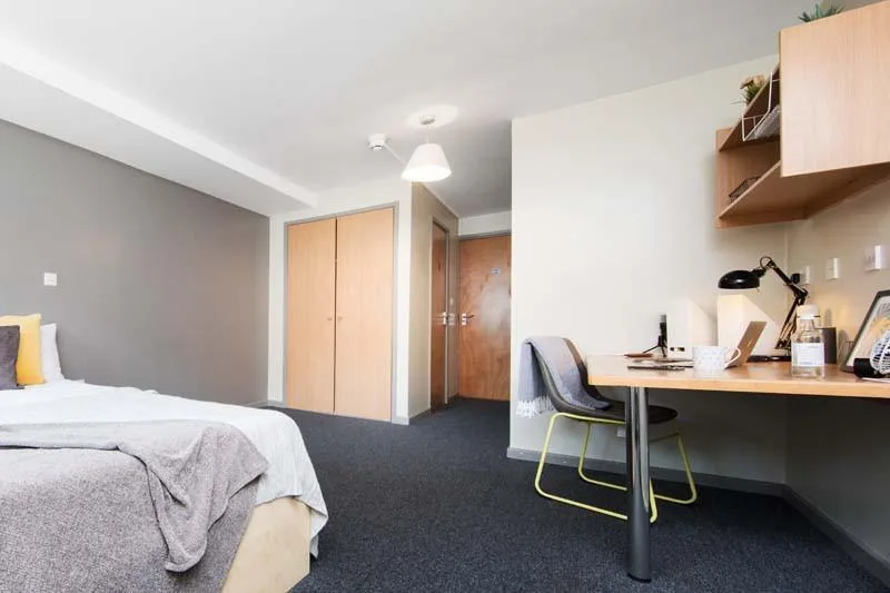 1 bedroom flat share for rent