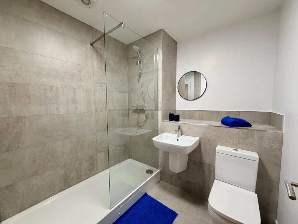 1 bedroom apartment for rent