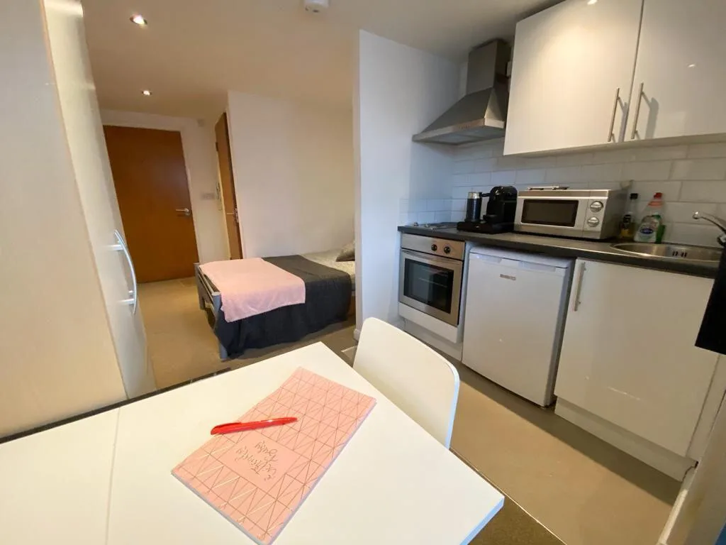 Studio flat for rent