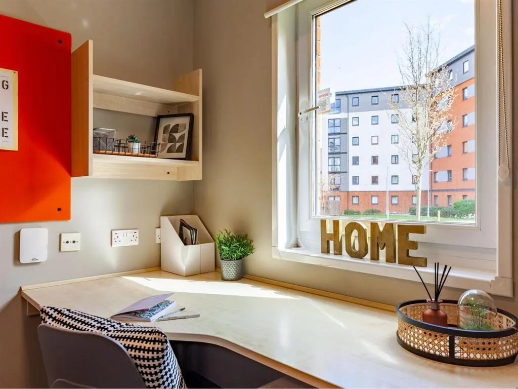 1 bedroom flat share for rent