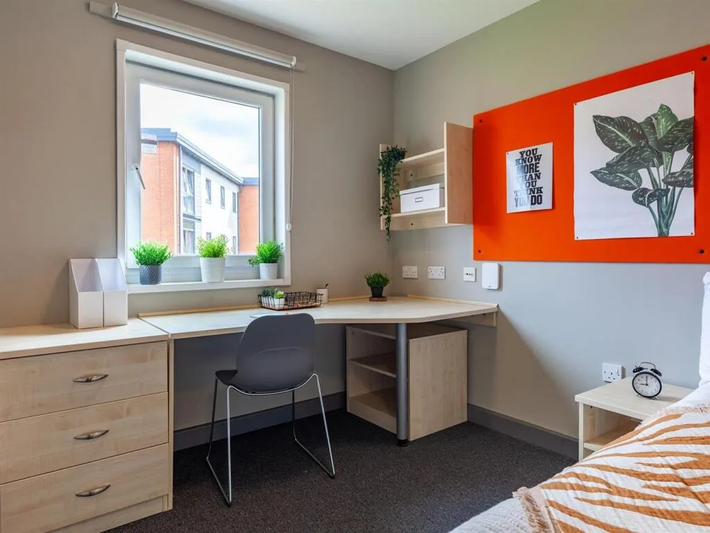 1 bedroom flat share for rent