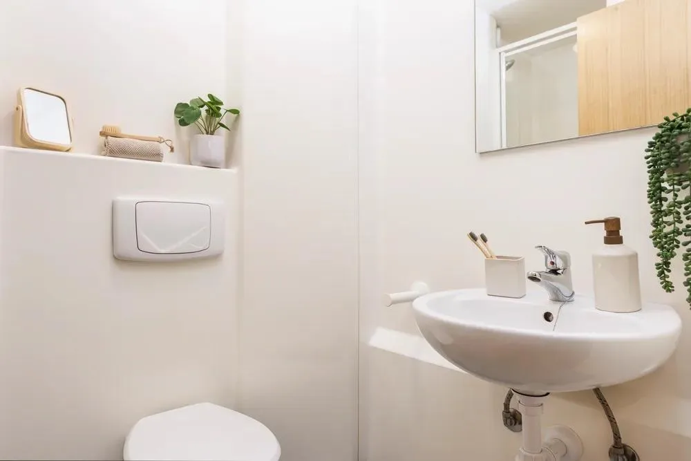 1 bedroom flat share for rent