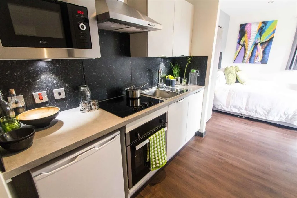 Studio flat for rent