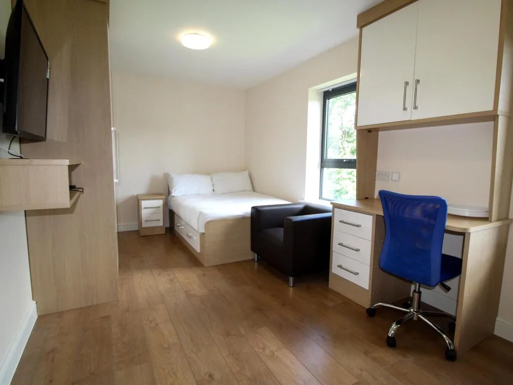 Studio apartment for rent