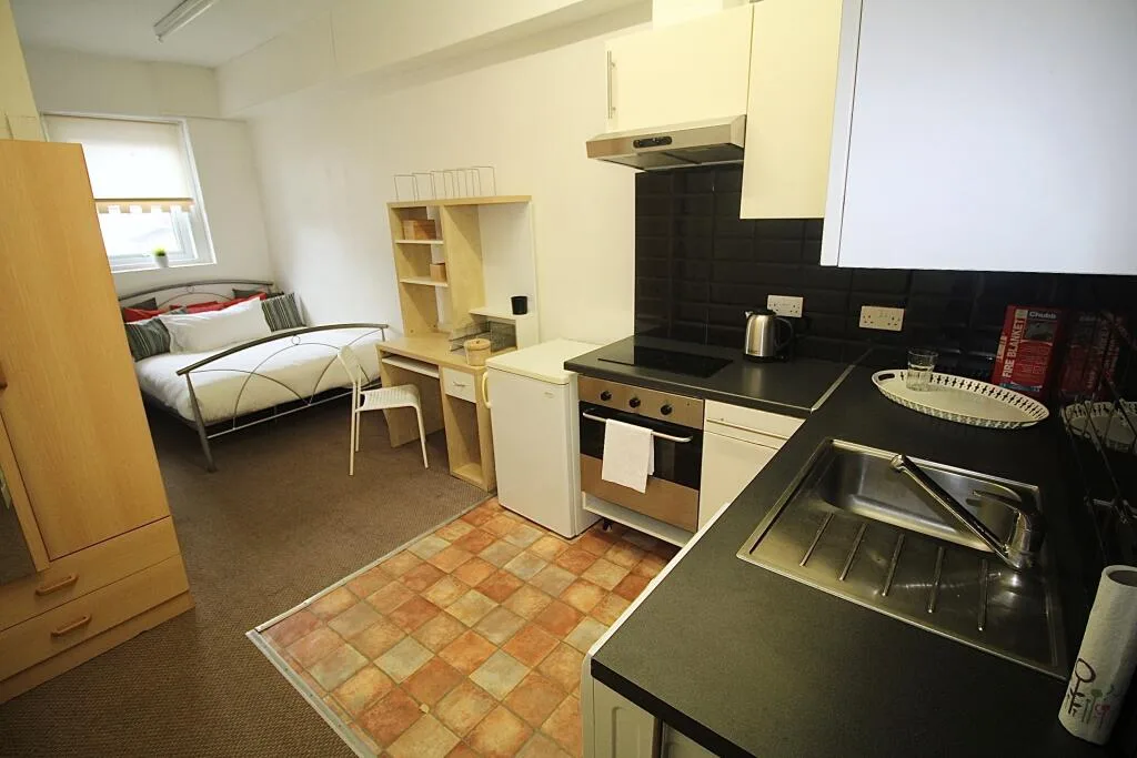 Studio flat for rent
