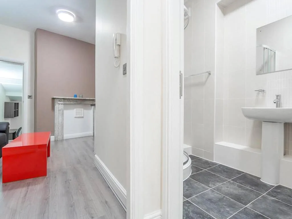 1 bedroom apartment for rent