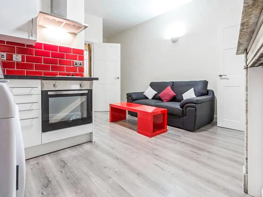 1 bedroom apartment for rent