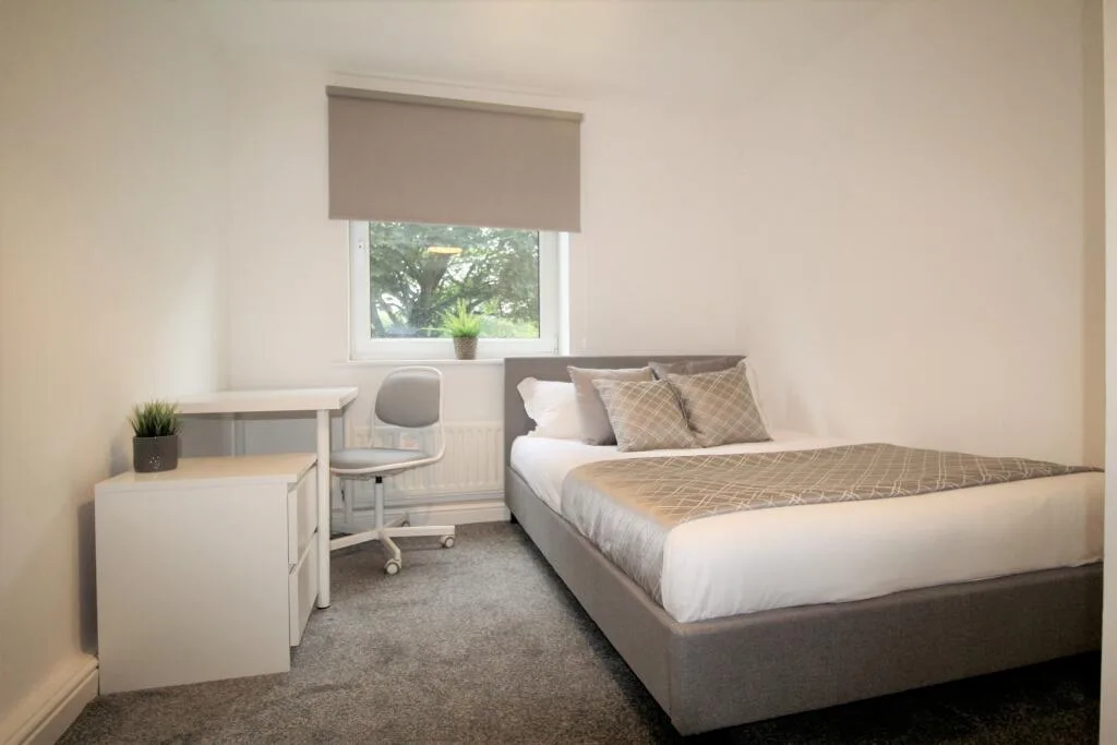 2 bedroom flat for rent