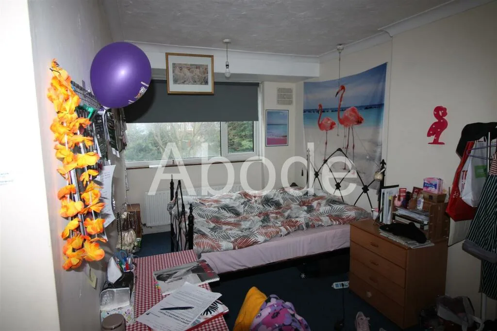 3 bedroom house for rent