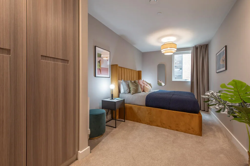 2 bedroom apartment for rent