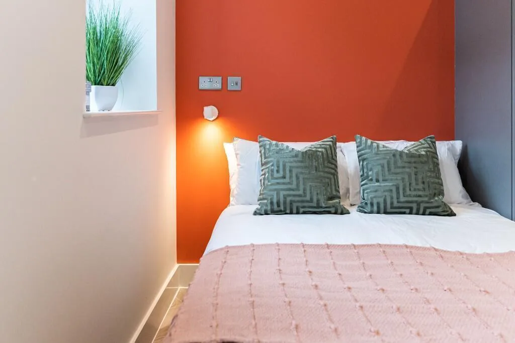 1 bedroom apartment for rent