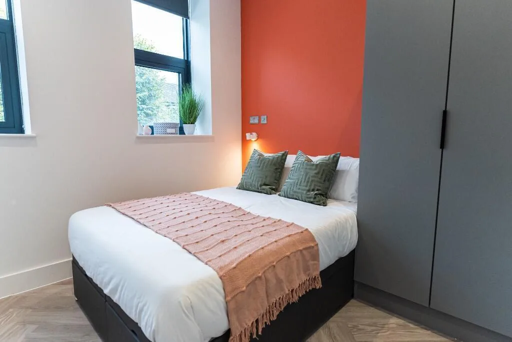 1 bedroom apartment for rent