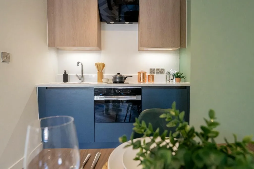 1 bedroom apartment for rent
