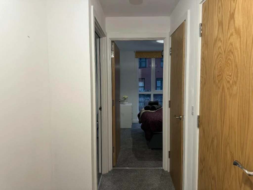 1 bedroom apartment for rent
