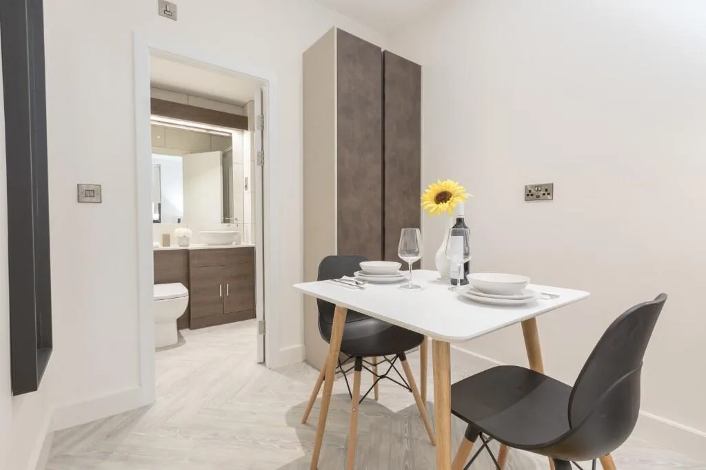 1 bedroom apartment for rent
