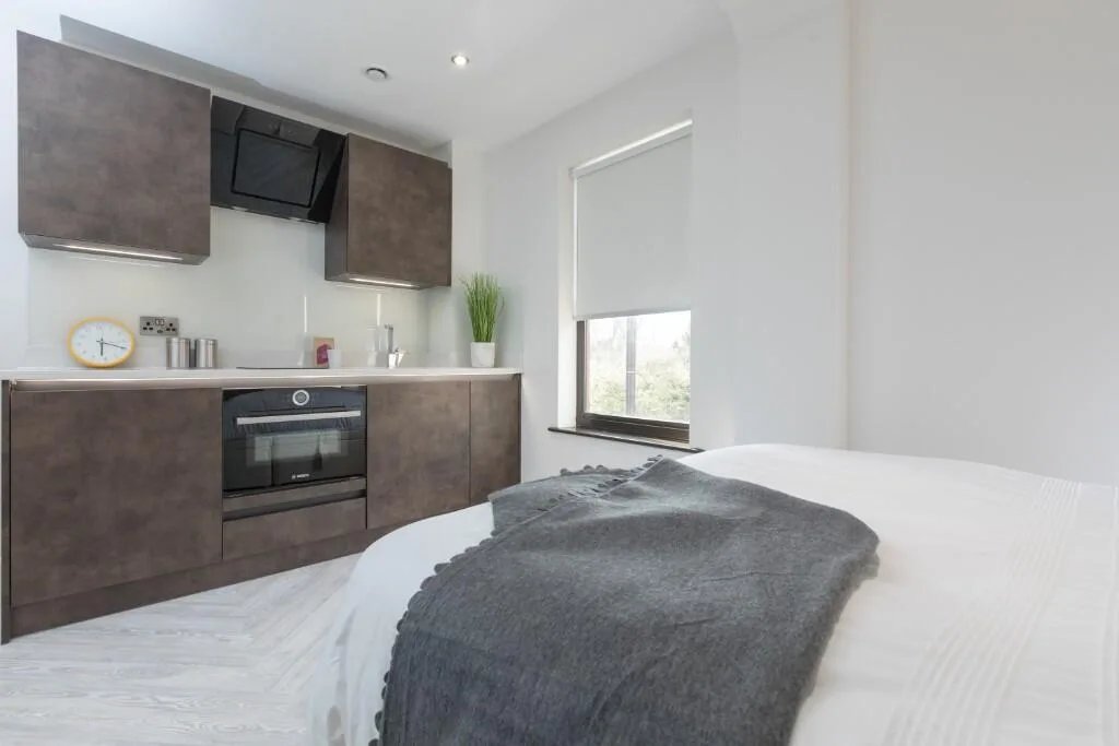 1 bedroom apartment for rent