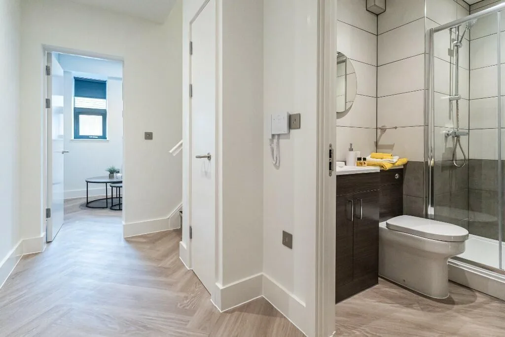 1 bedroom apartment for rent