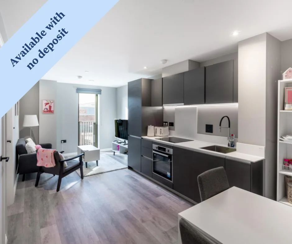 1 bedroom apartment for rent