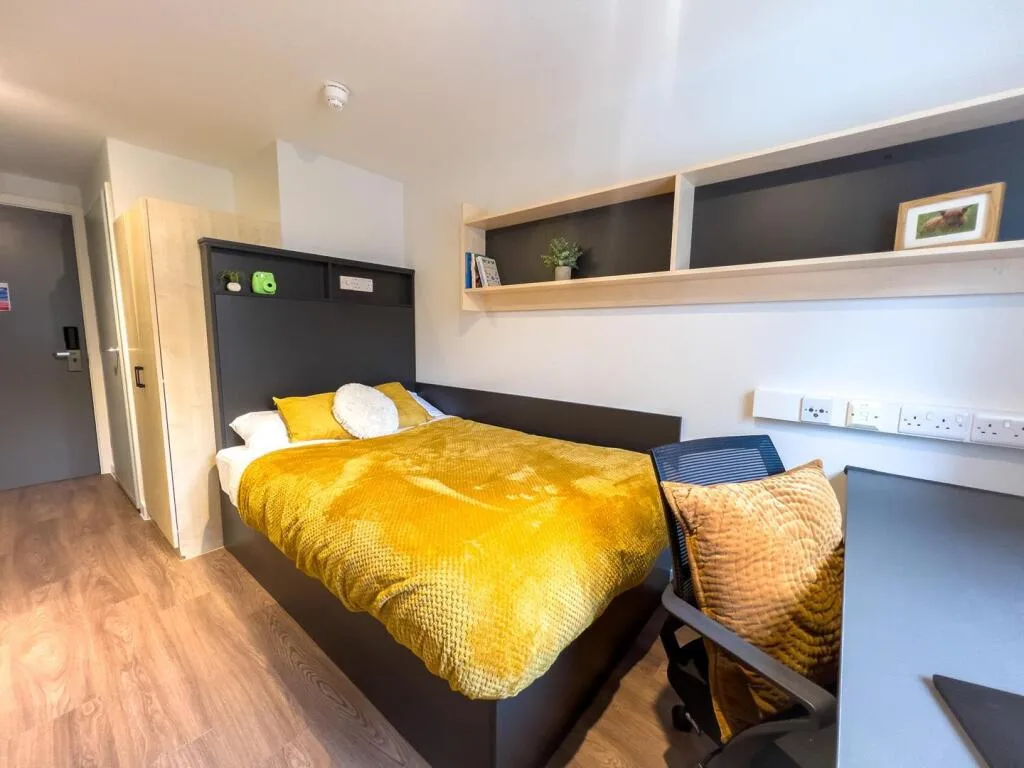 1 bedroom flat share for rent