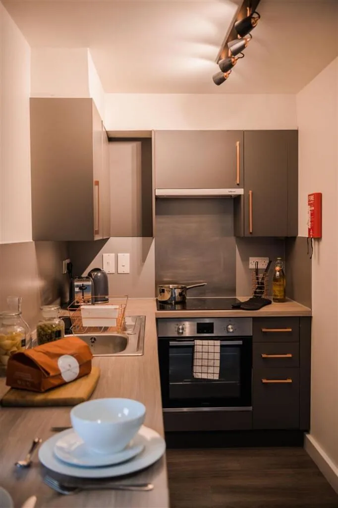 1 bedroom flat share for rent