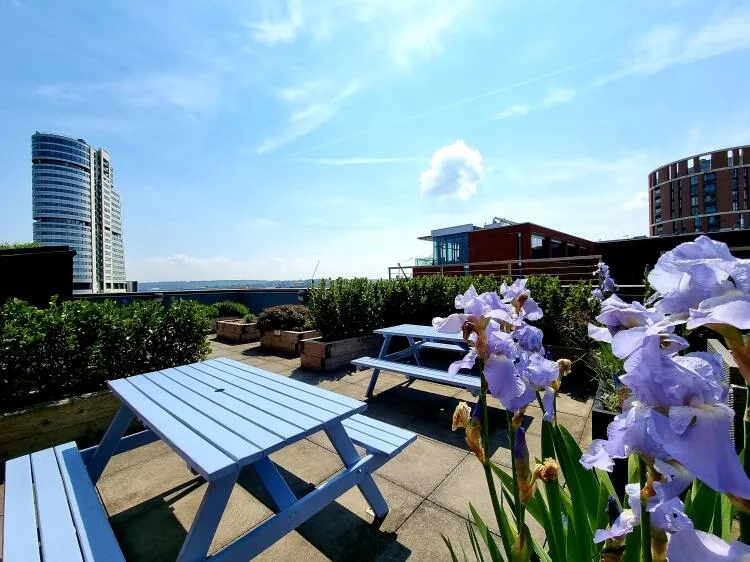 2 bedroom apartment for rent