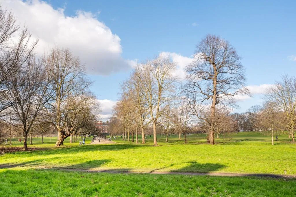 5 bedroom flat for rent