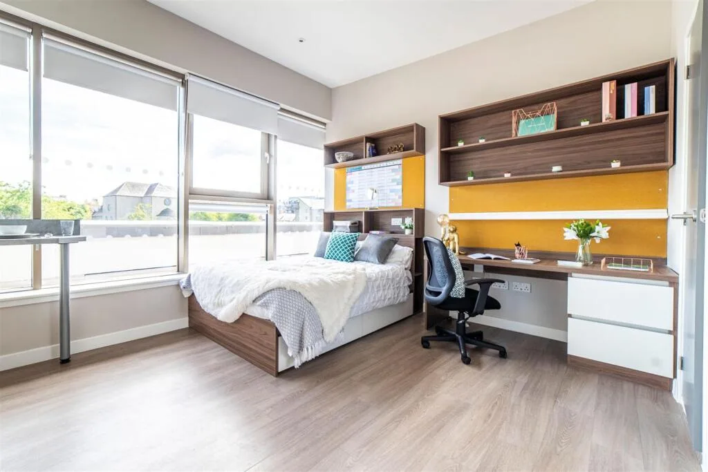 Studio flat for rent