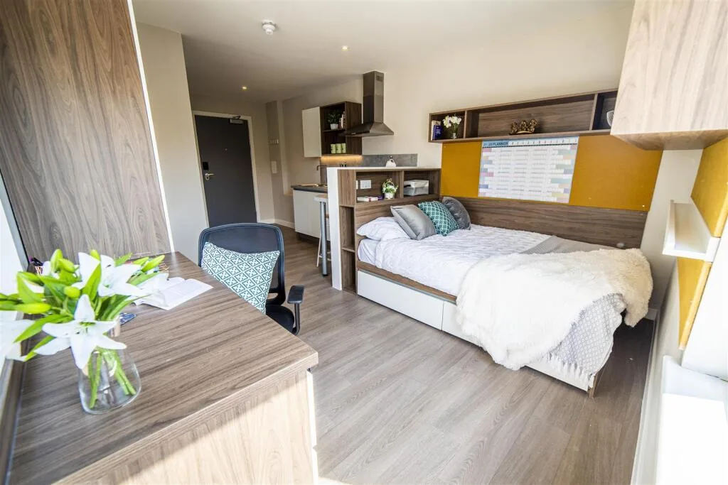 Studio flat for rent