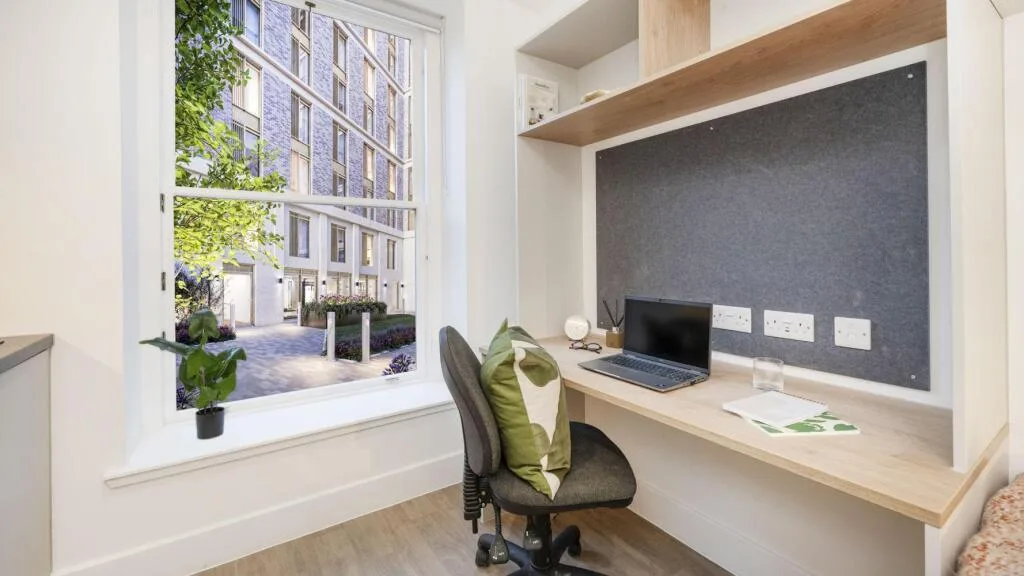 Studio flat for rent