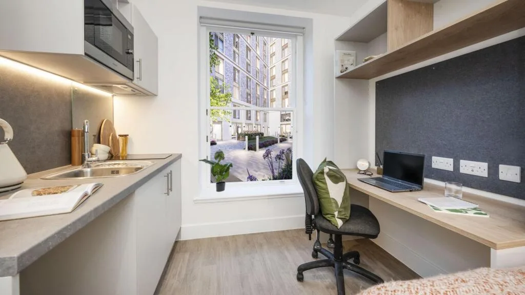 Studio flat for rent