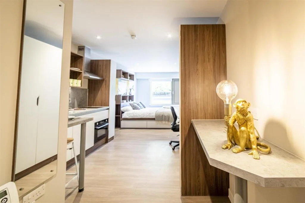 Studio flat for rent